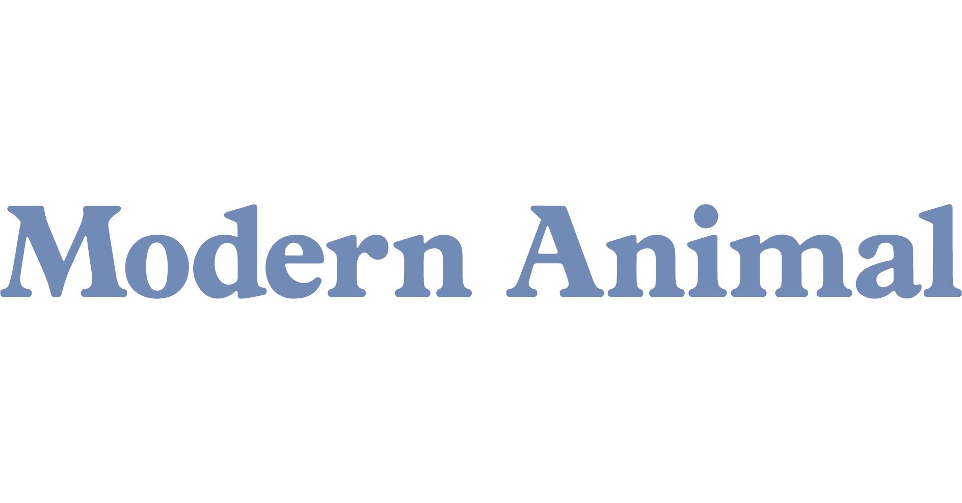 Modern Animal